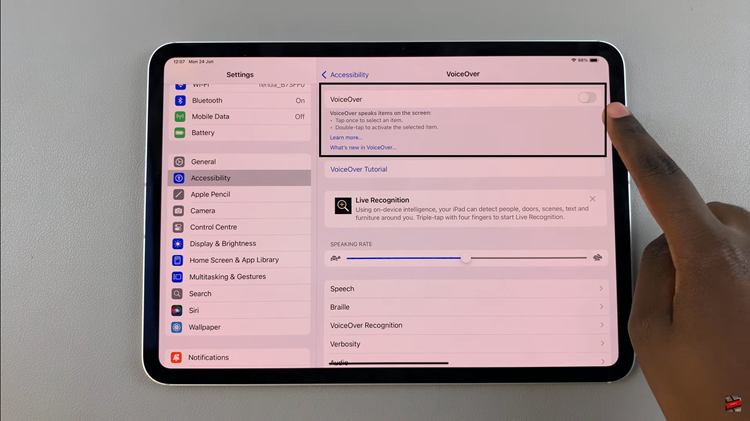How To Turn ON VoiceOver Mode On iPad