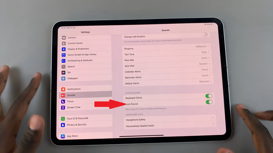 How To Enable Lock Sound On iPad