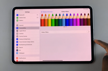 How To Disable Color Filters On Display Of iPad
