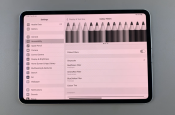 How To Enable Color Filters On Display Of iPad