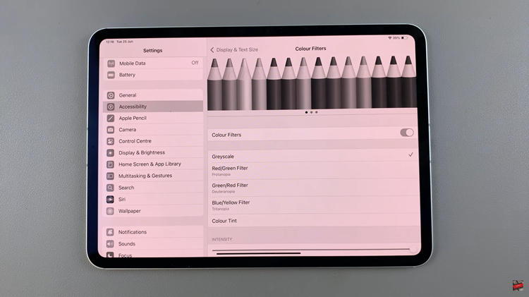 Enable Color Filters On Display Of iPad