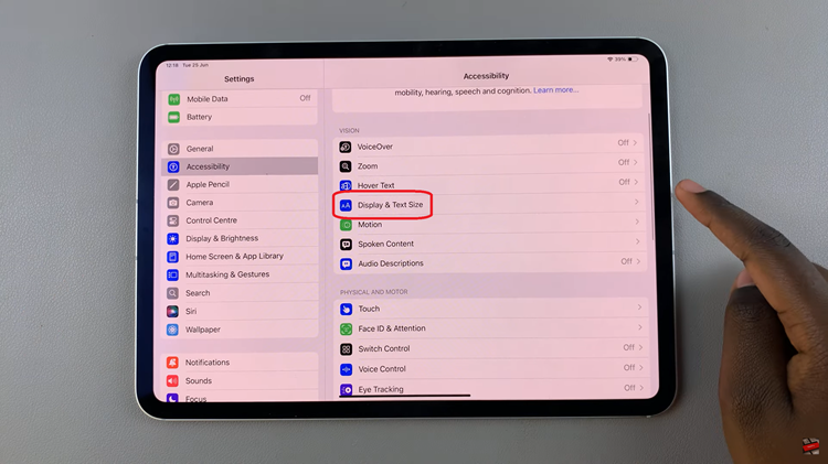 Enable Color Filters On Display Of iPad