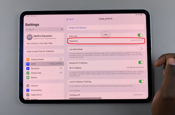 How To See Your Wi-Fi Password On iPad