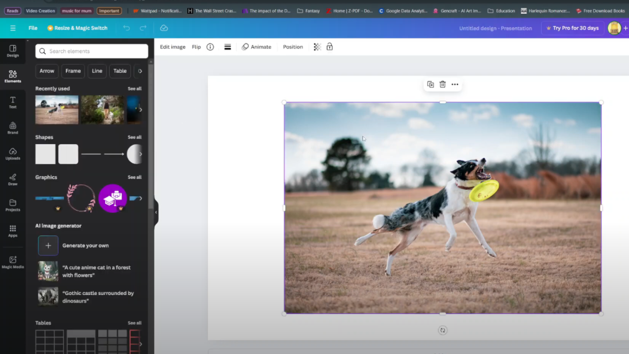  Adjust An Image In Canva