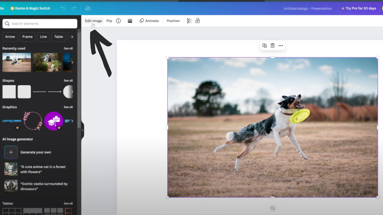  Adjust An Image In Canva