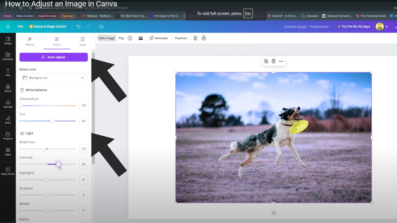  Adjust An Image In Canva