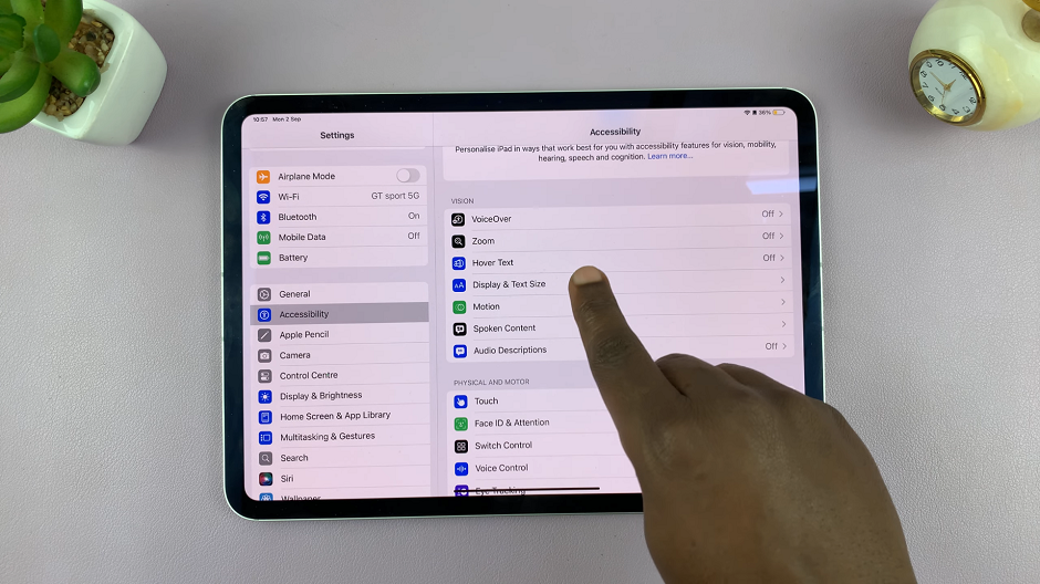 Display & Text Size On iPad