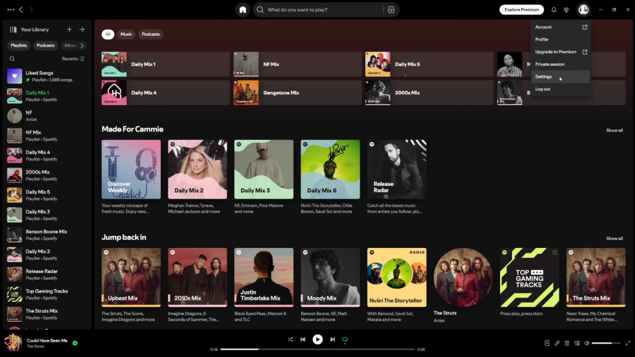 Change Streaming Quality In Spotify Music