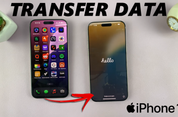 How To Transfer Data From Old iPhone To iPhone 16 / 16 Pro